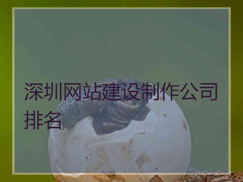 深圳网站建设制作公司排名