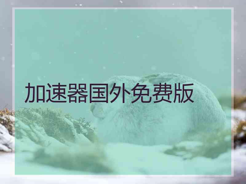加速器国外免费版