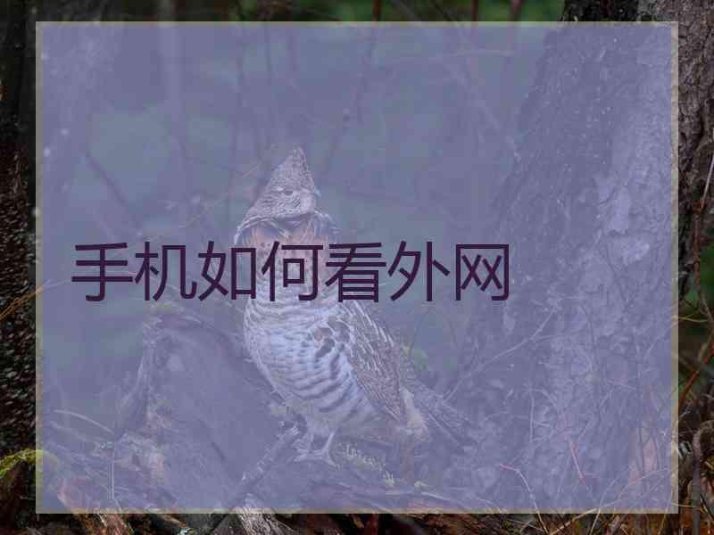 手机如何看外网
