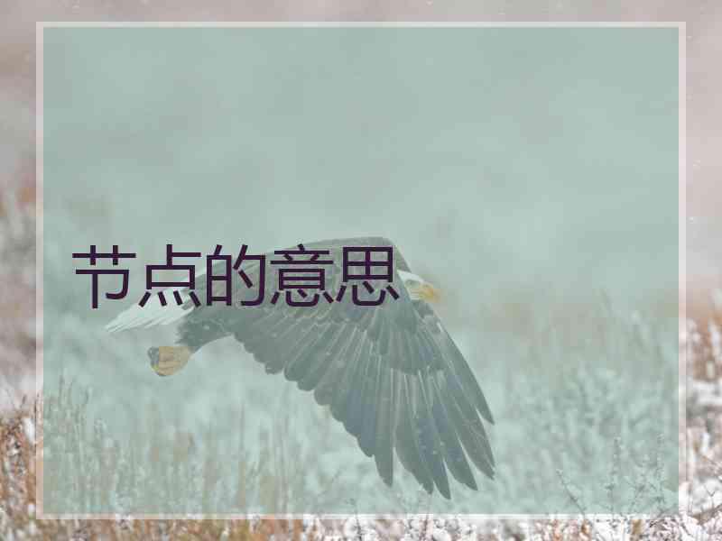 节点的意思