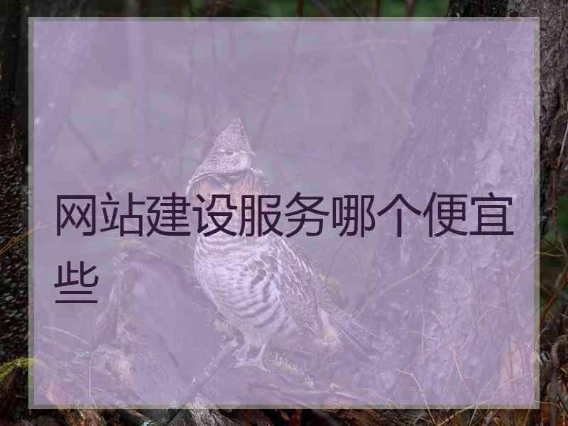网站建设服务哪个便宜些
