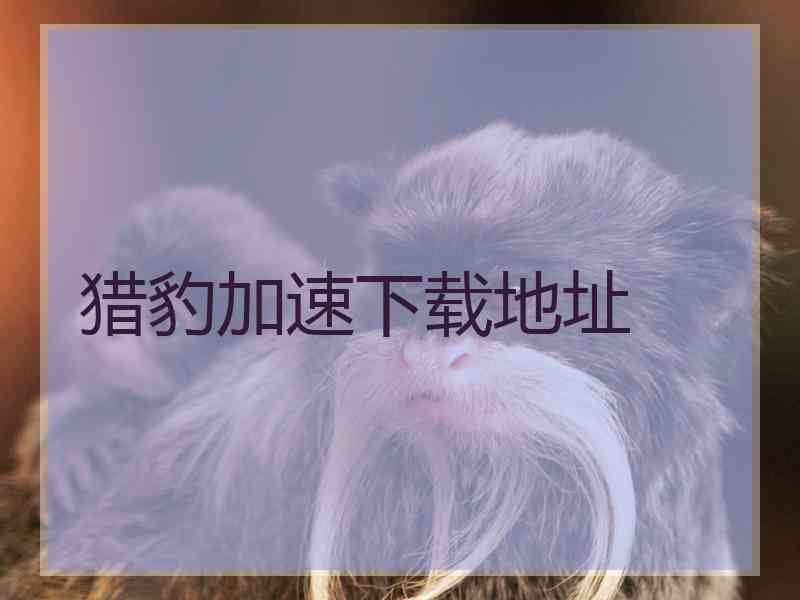 猎豹加速下载地址