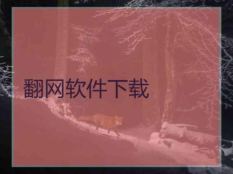 翻网软件下载
