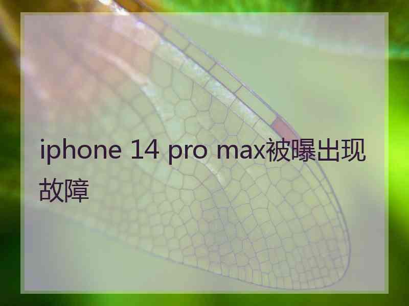 iphone 14 pro max被曝出现故障