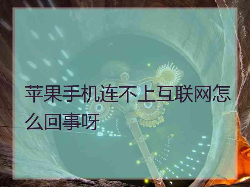 苹果手机连不上互联网怎么回事呀