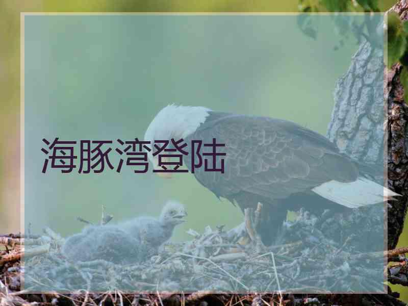 海豚湾登陆