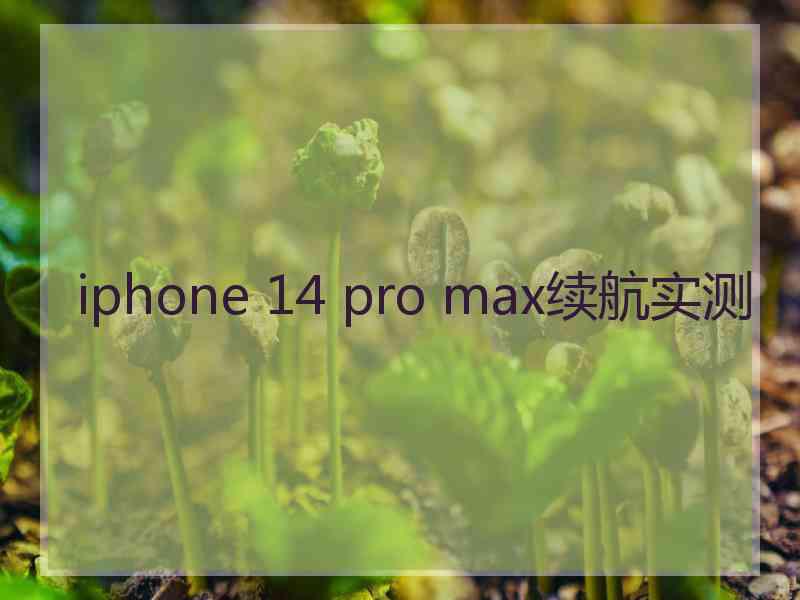 iphone 14 pro max续航实测