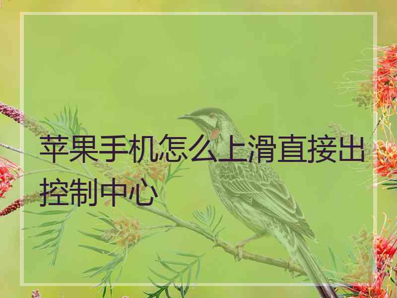 苹果手机怎么上滑直接出控制中心