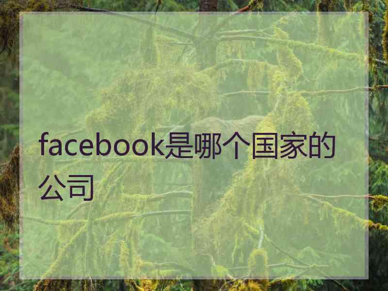 facebook是哪个国家的公司