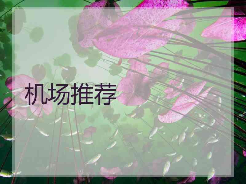 机场推荐