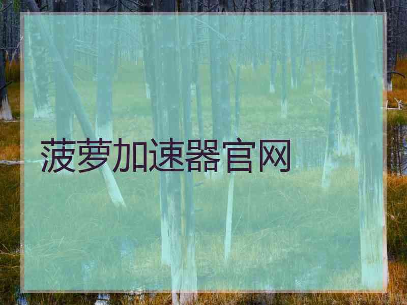 菠萝加速器官网