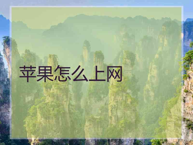 苹果怎么上网