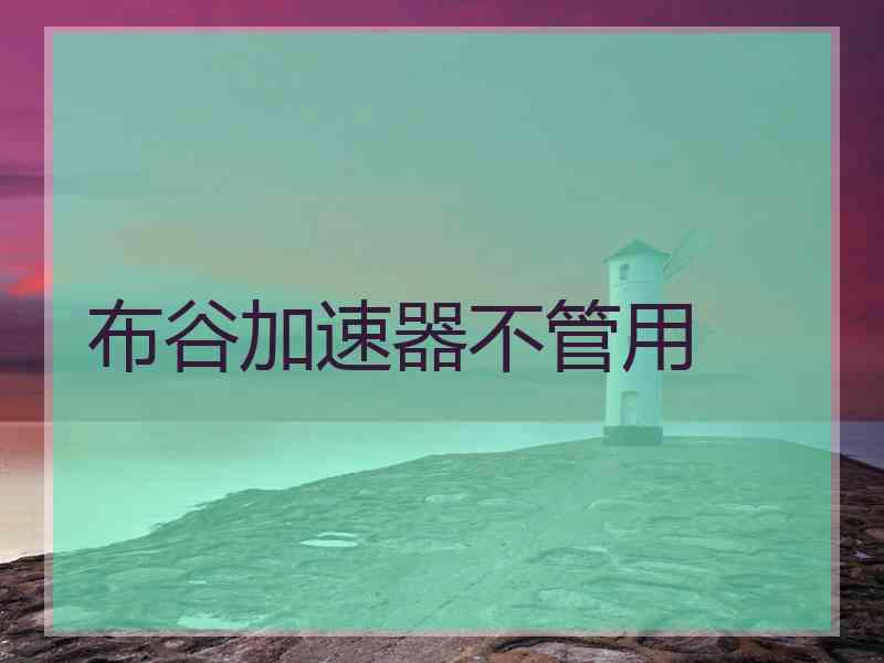 布谷加速器不管用