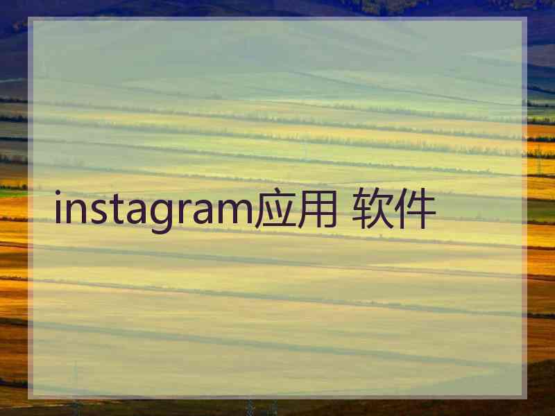 instagram应用 软件