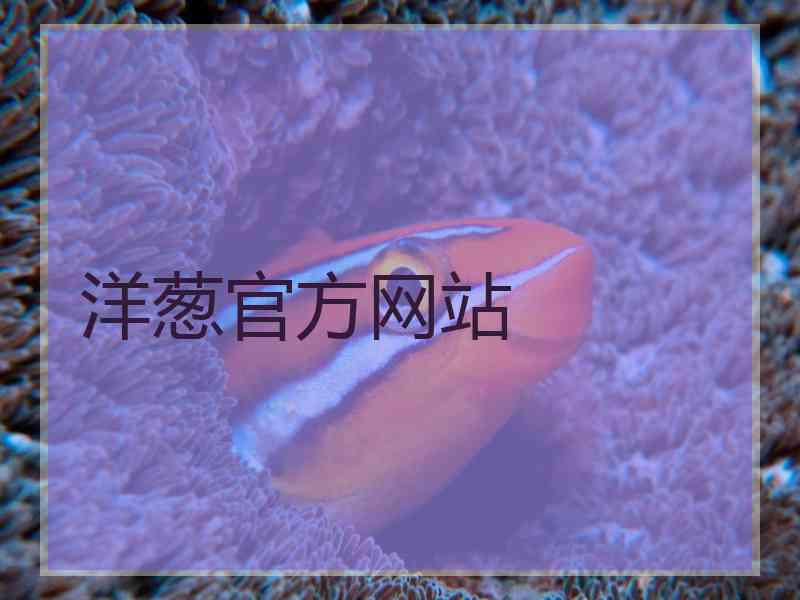 洋葱官方网站