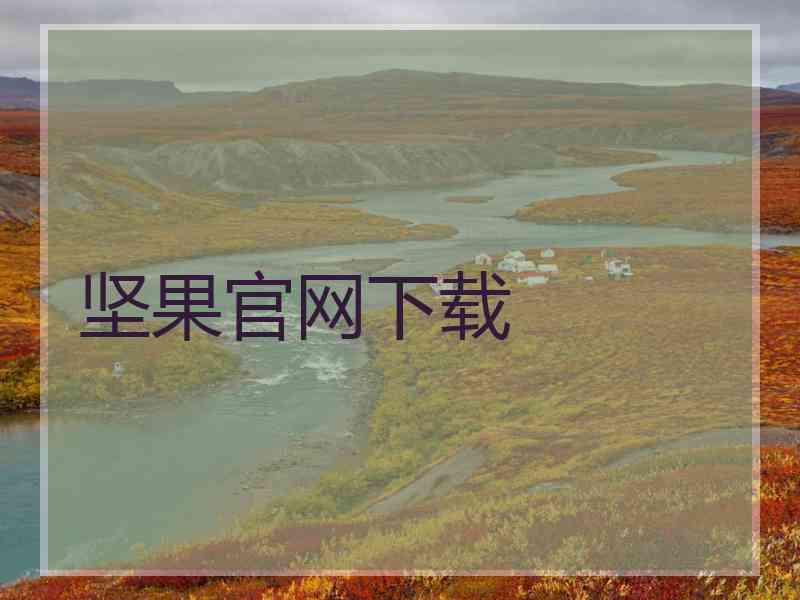坚果官网下载