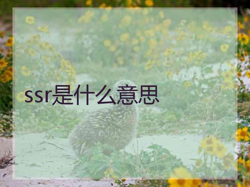 ssr是什么意思