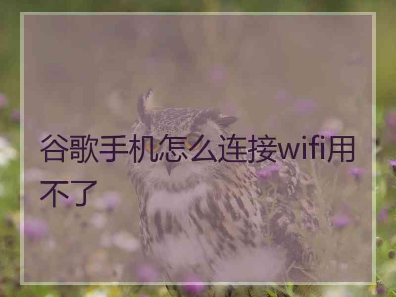 谷歌手机怎么连接wifi用不了