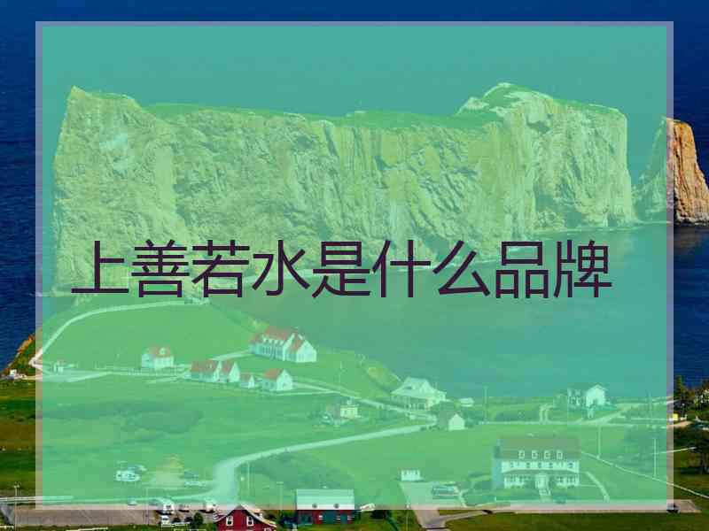 上善若水是什么品牌