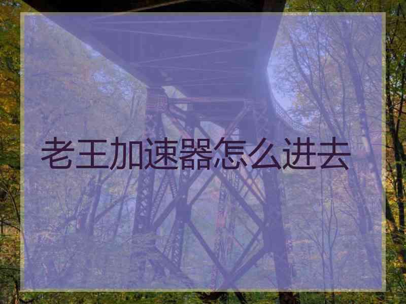 老王加速器怎么进去