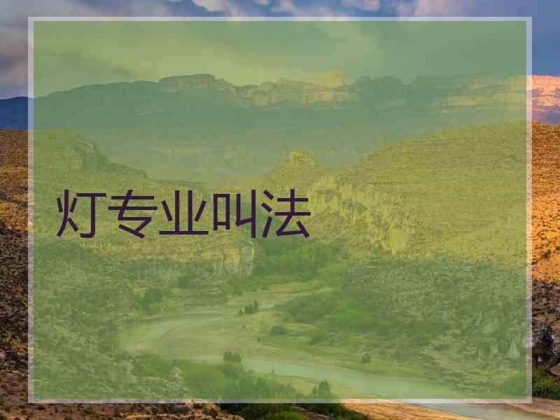 灯专业叫法
