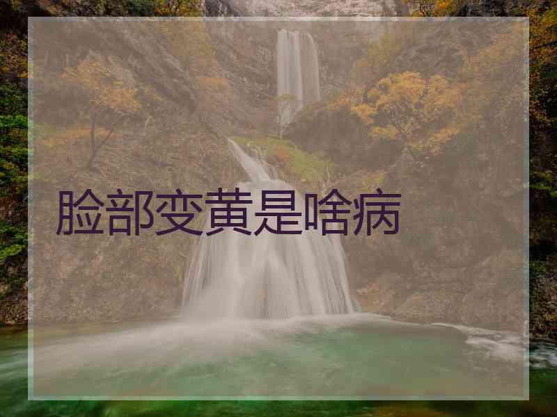 脸部变黄是啥病