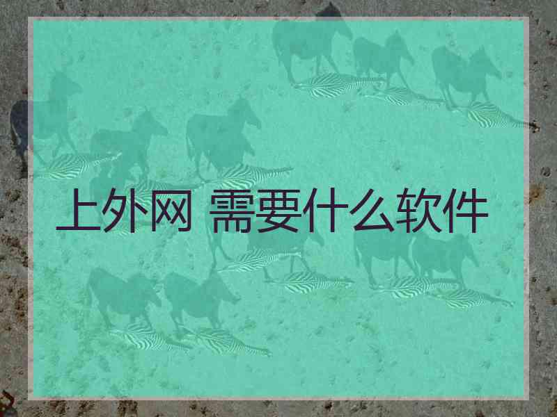上外网 需要什么软件
