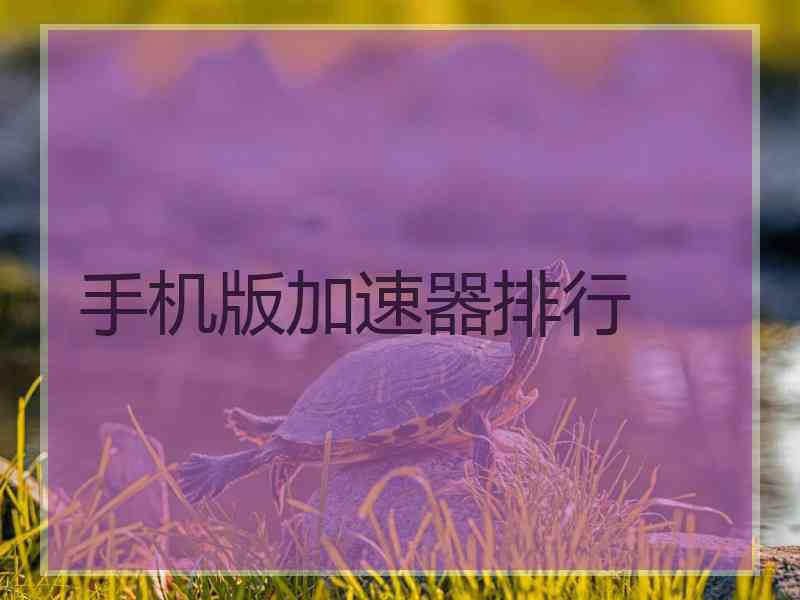 手机版加速器排行
