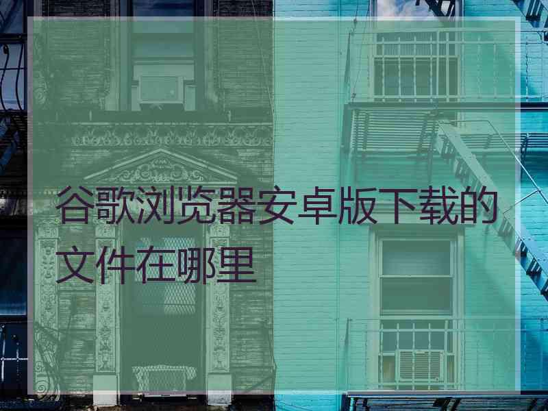 谷歌浏览器安卓版下载的文件在哪里