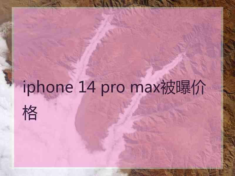 iphone 14 pro max被曝价格