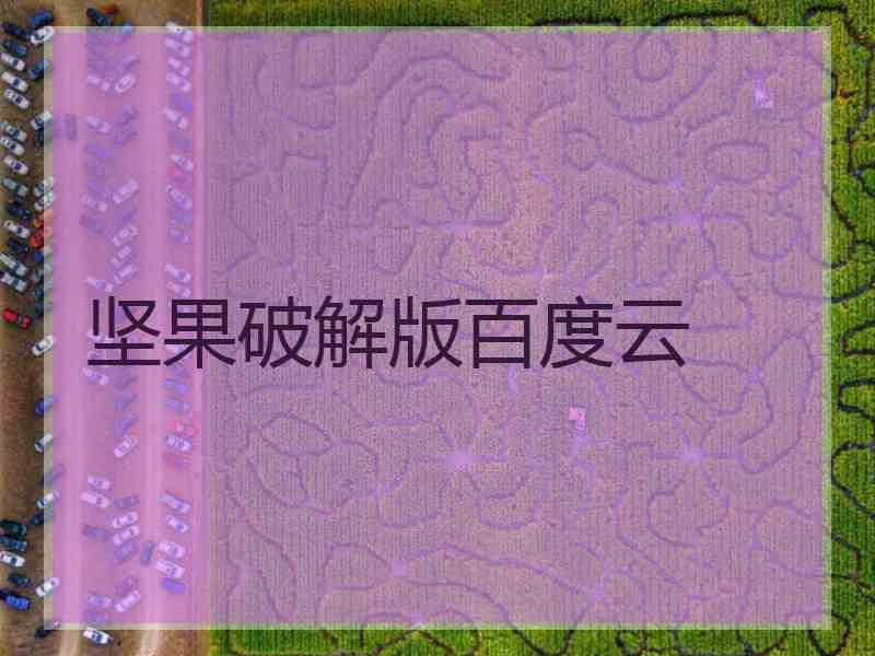 坚果破解版百度云