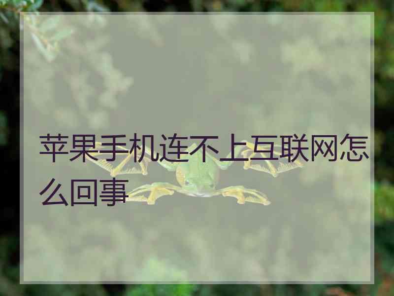 苹果手机连不上互联网怎么回事