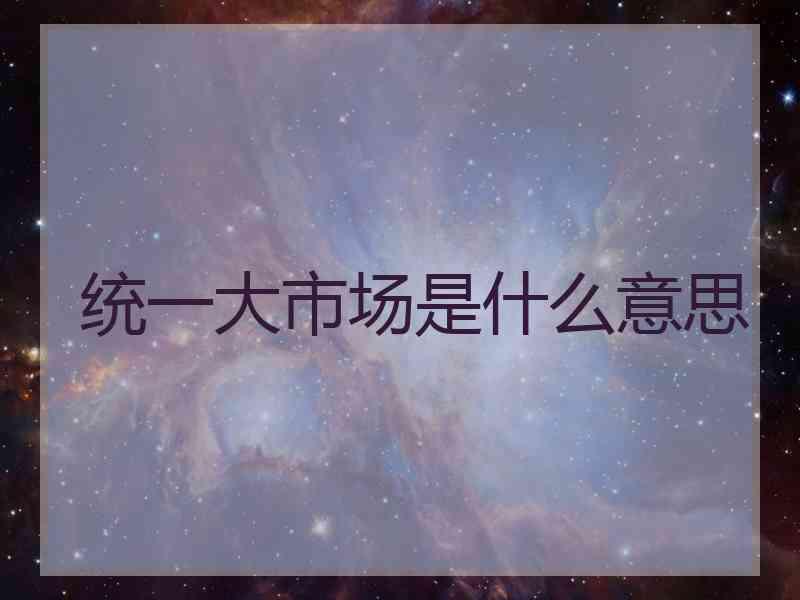 统一大市场是什么意思