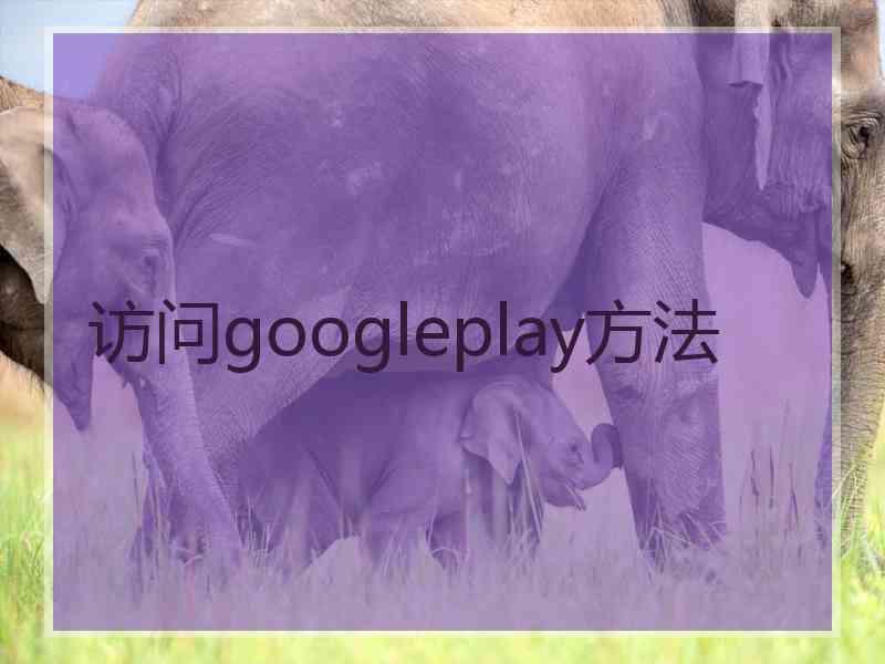 访问googleplay方法