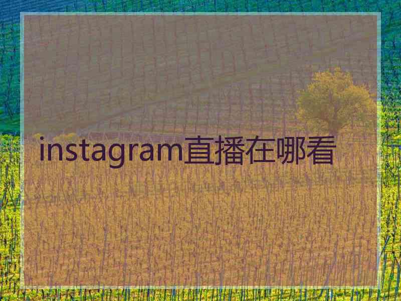 instagram直播在哪看