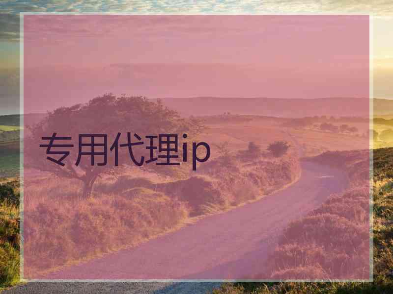 专用代理ip