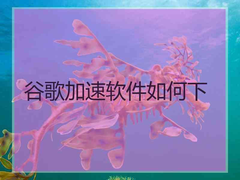 谷歌加速软件如何下