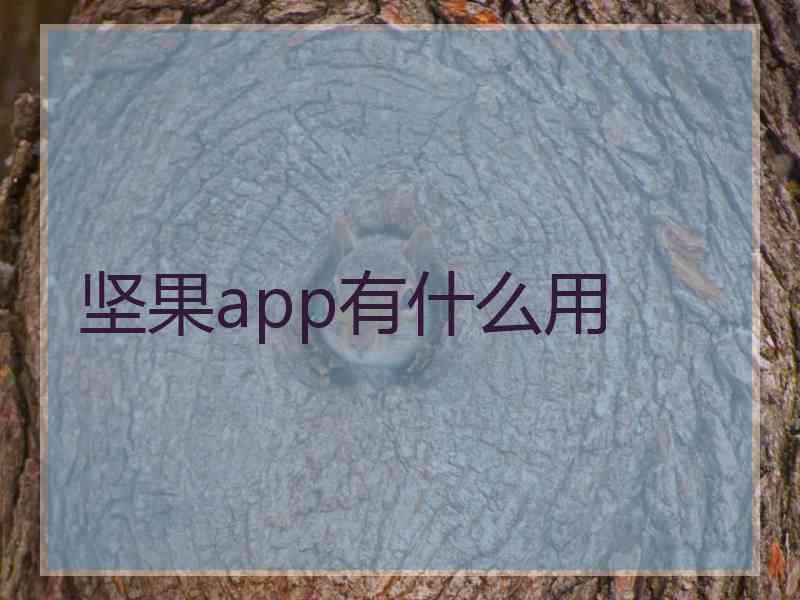 坚果app有什么用