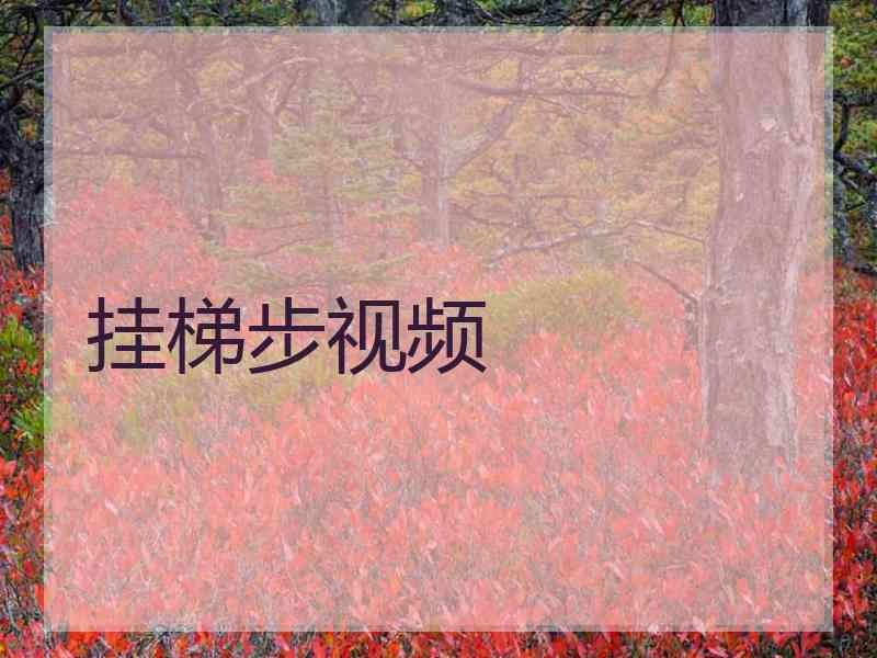 挂梯步视频