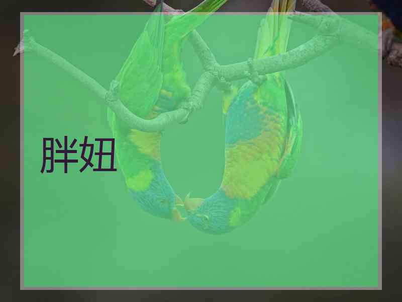 胖妞
