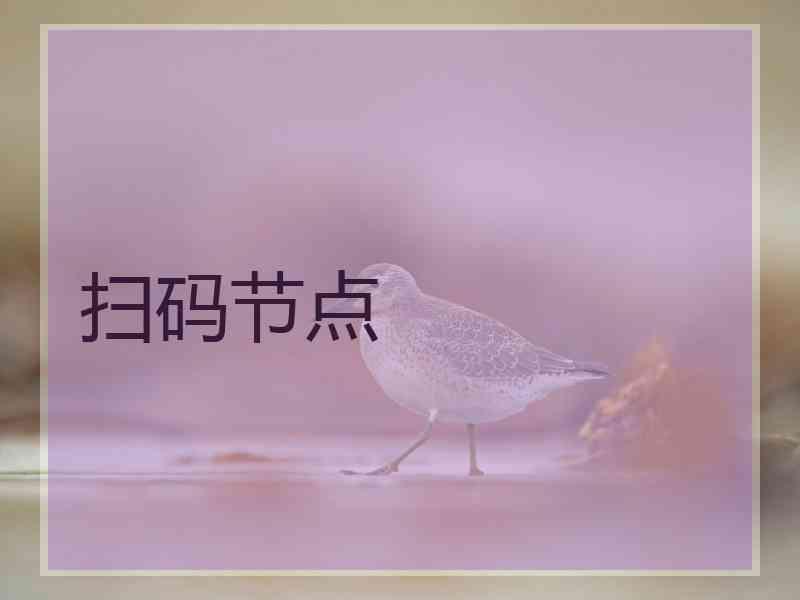 扫码节点