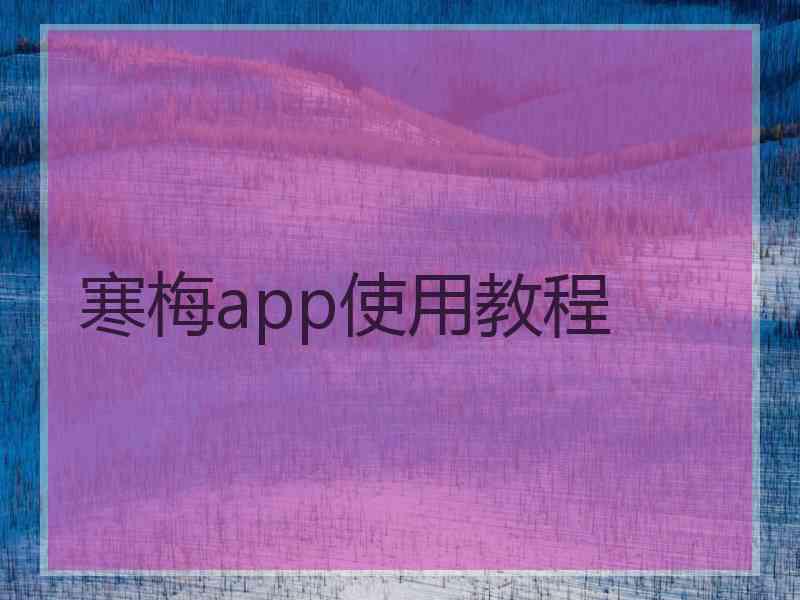 寒梅app使用教程